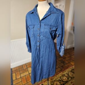 Speed Control Denim Dress Large